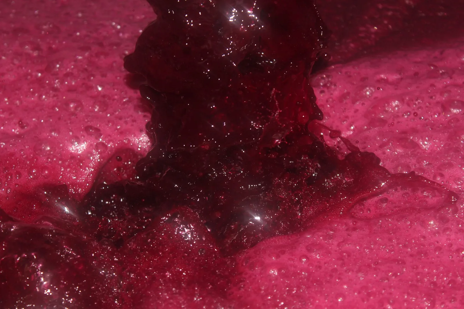 Fermentation